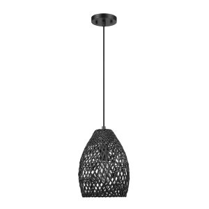 Matte black single head chandelier