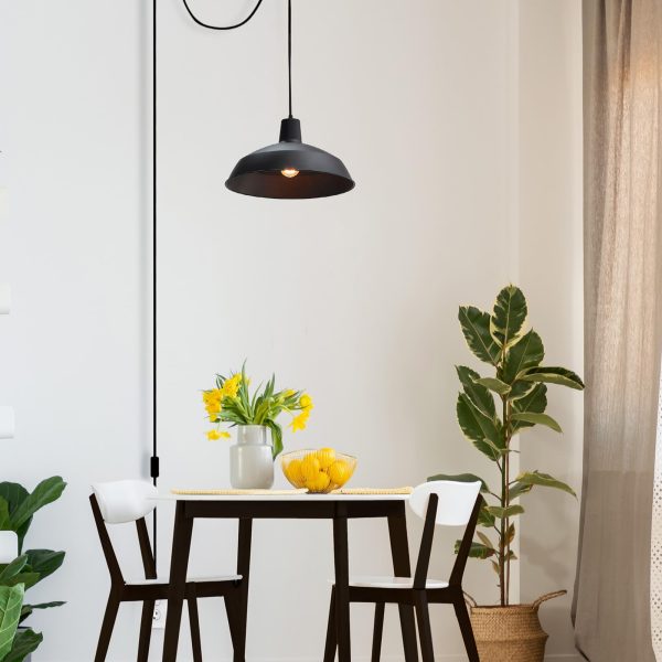 Single Light Plug-in Pendant Light - Image 7